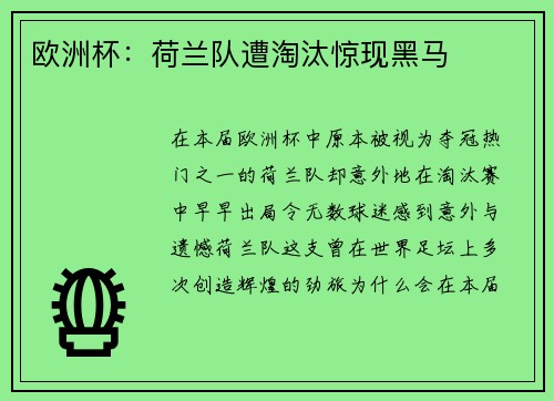 欧洲杯：荷兰队遭淘汰惊现黑马