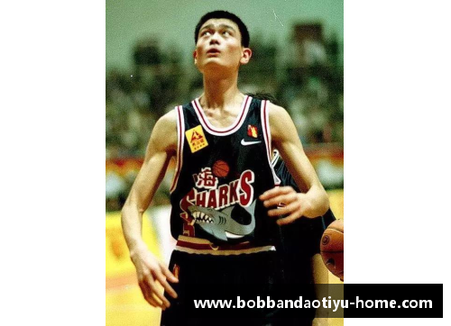 bob半岛体育官方网站NBA球星伍德：探索其职业生涯的高峰与挑战