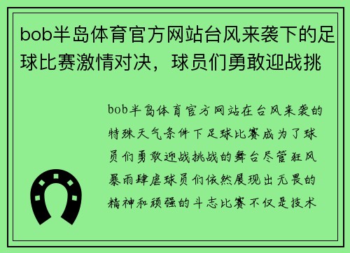 bob半岛体育官方网站台风来袭下的足球比赛激情对决，球员们勇敢迎战挑战
